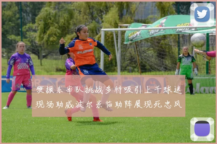 樊振东率队挑战多特吸引上千球迷现场助威波尔亲临助阵展现死忠风采