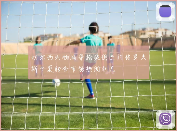 切尔西利物浦争抢桑德兰门将罗夫斯今夏转会市场热闹非凡